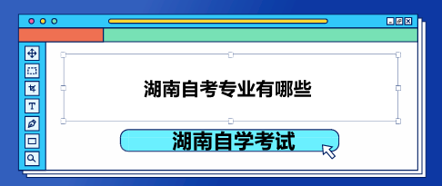 湖南自考專業(yè)